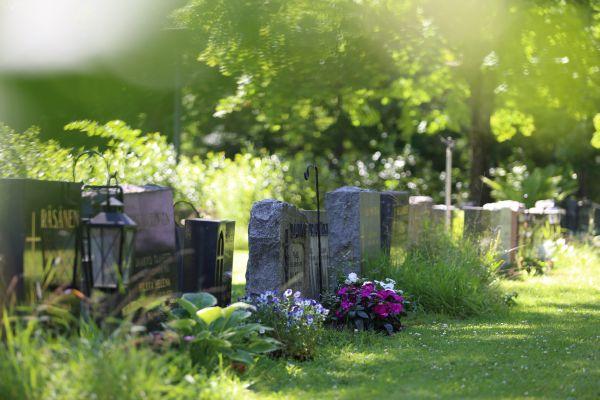 Kesäinen hautausmaa, hautojen edessä kauniita kukkia, vihreää.