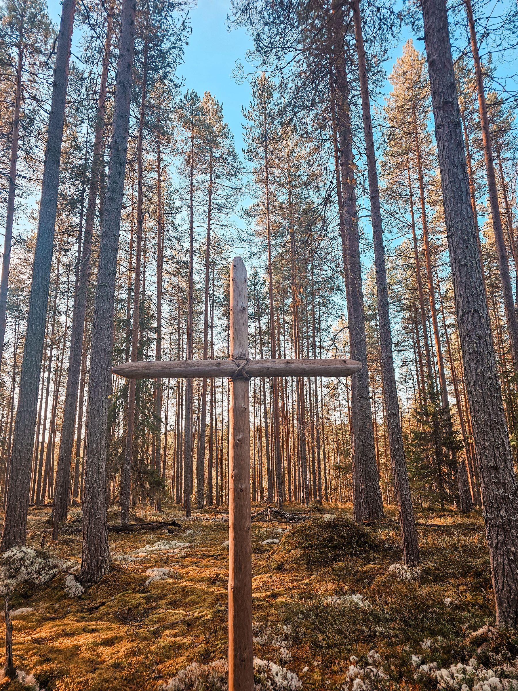 Ruunaan metsäkirkko Kuva Metsäkirkon puisesta rististä, joka kohoaa puita ja taivasta kohti. Ristiä ympäröivät metsä ja puut. Taustalla sinertää taivas.