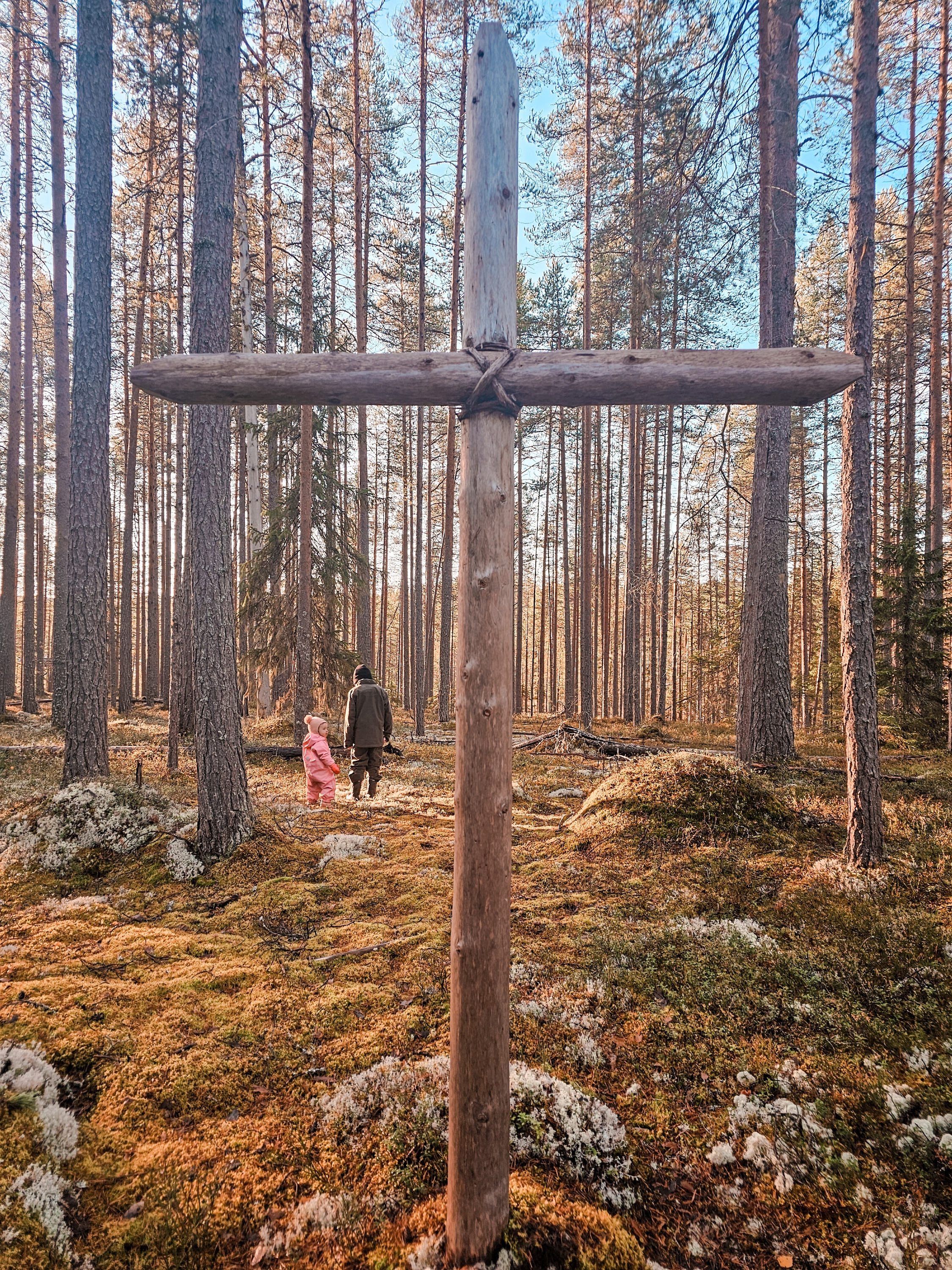 Ruunaan metsäkirkko Kuva puisesta rististä, joka kohoaa metsästä kohti puunlatvoja sinistä taivasta.