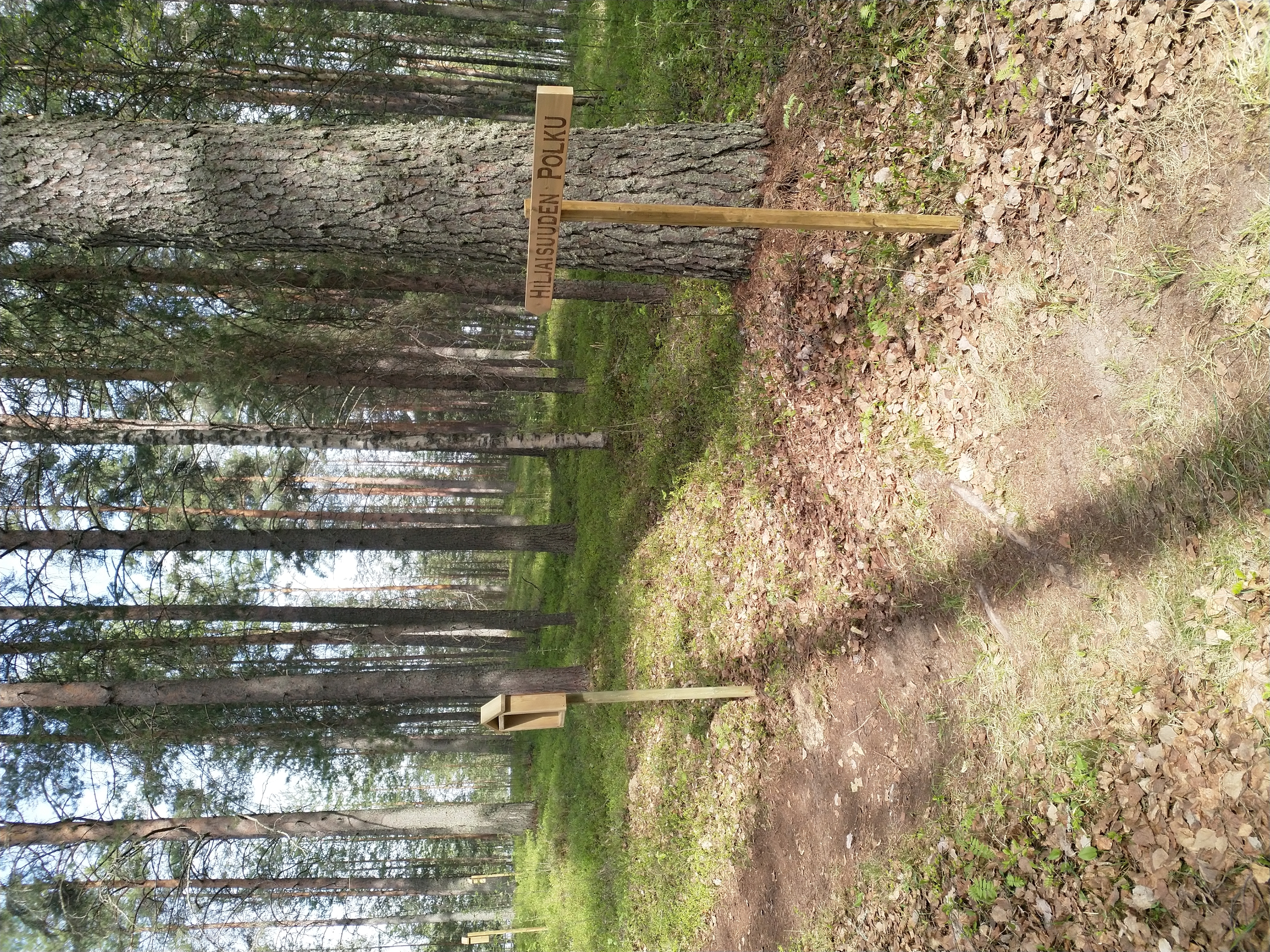 Metsäistä maisemaa, jonne lähtee polku. Polun alussa opaste. Opasteessa lukee Hiljaisuuden polku.