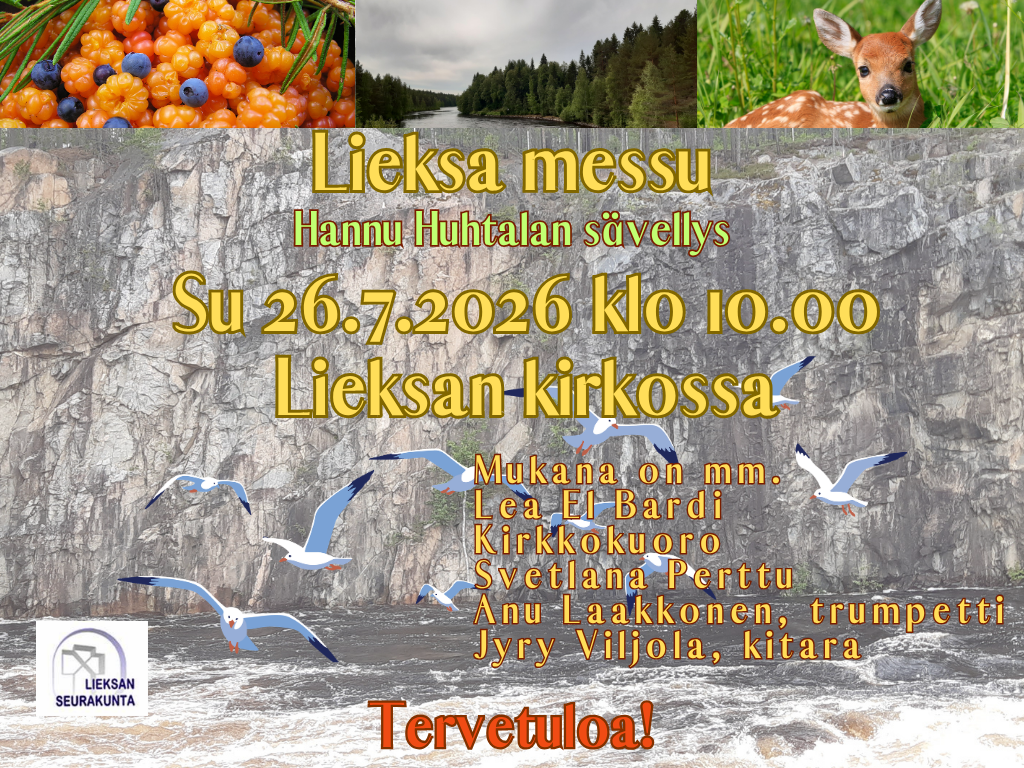 Lieksa messu kuvaus. Kallio, lintuja. Marjoja.